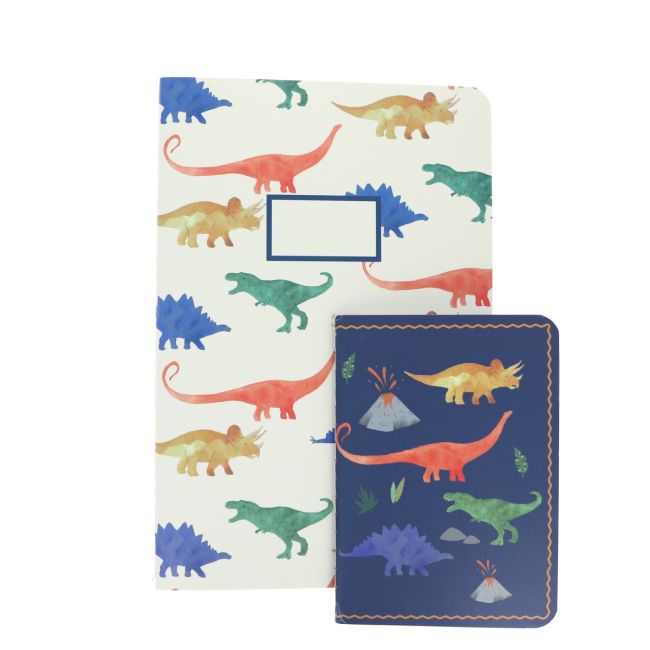 Carnet de notes motifs dinosaures grand format