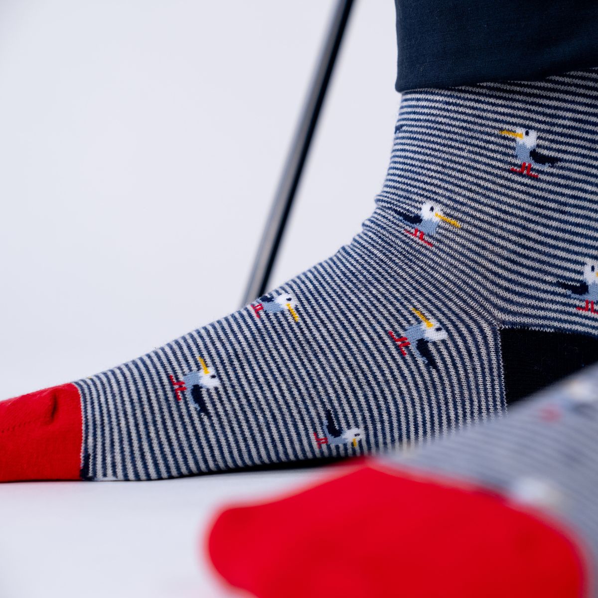 CHA22 - Chaussettes en coton peigné animaux - Goéland - Homme
