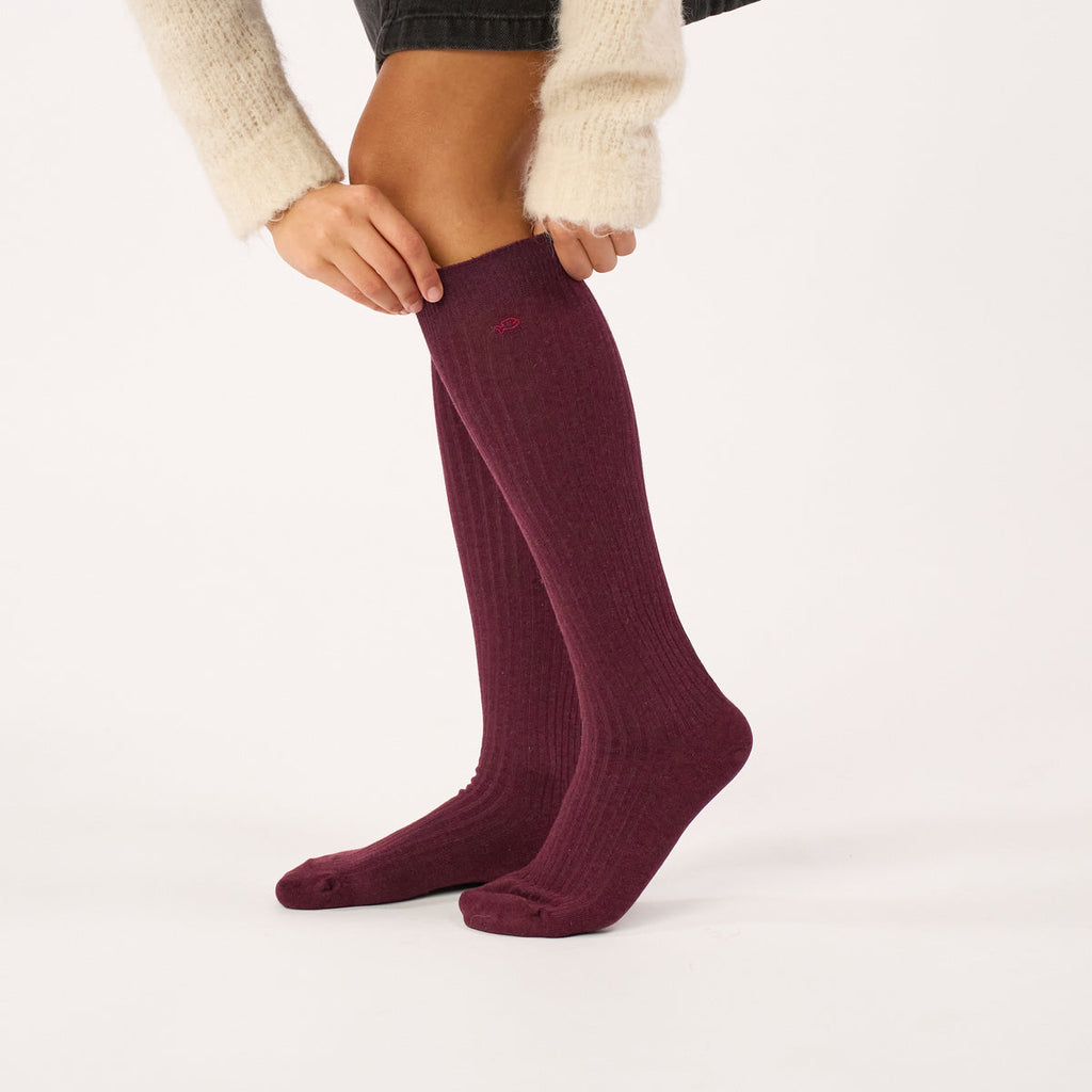 FHA02-  Chaussettes unies en coton peigné Hautes - Bordeaux chiné - Femme