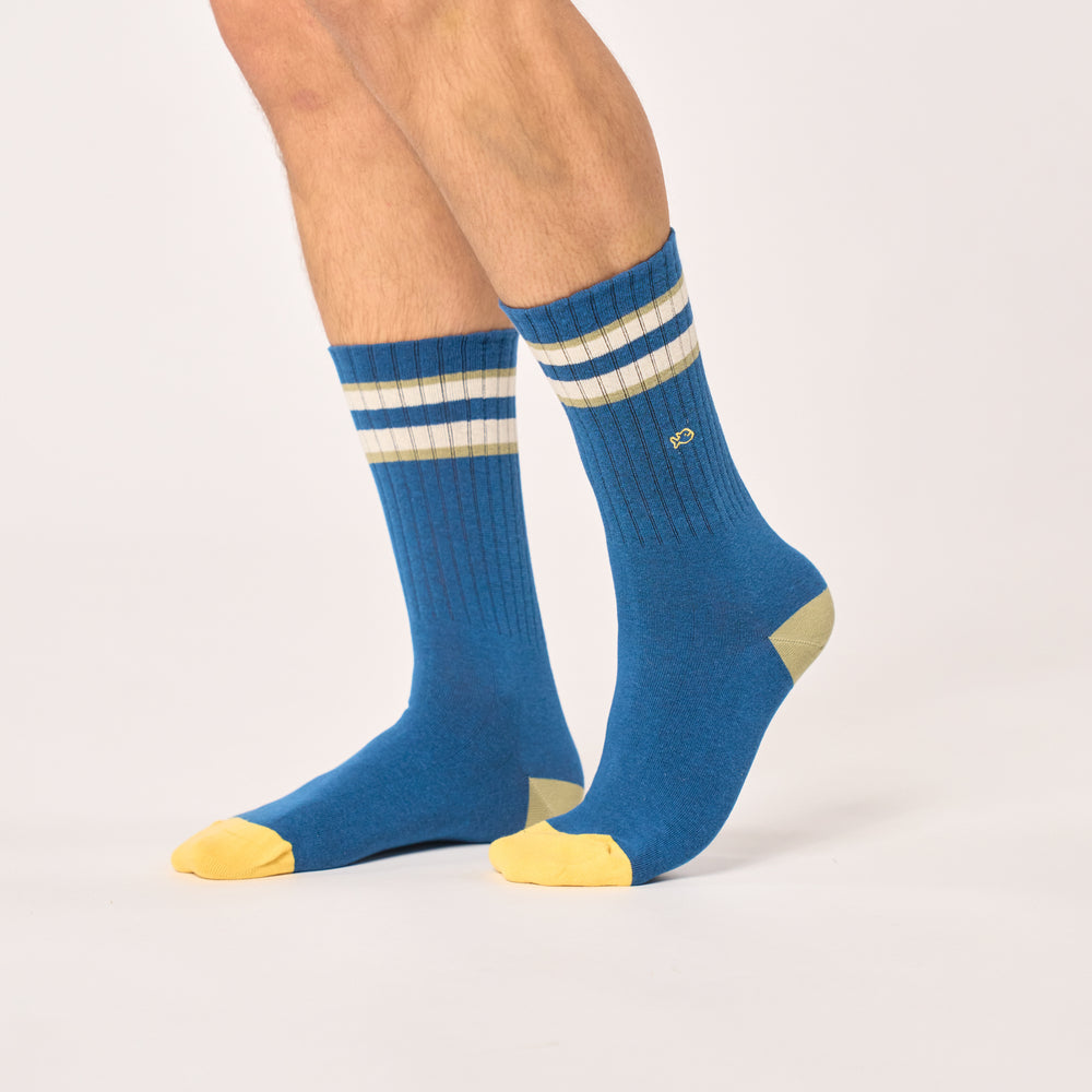 TE33 Chaussettes en coton peigné rétro - Bleu, rayé vert et ivoire - Homme
