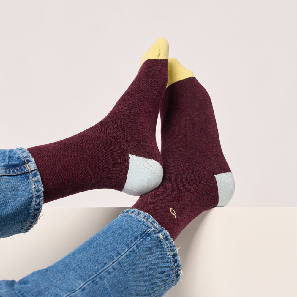 UF16 Chaussettes en coton peigné unies - Bordeaux chiné - Homme