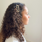 Lot de 2 barrettes écailles