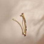Barrette longue écaille