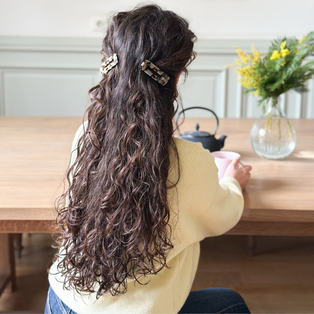 Lot de 2 barrettes écailles