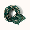 Grand Foulard Apaches Latika - Pongo - Garden