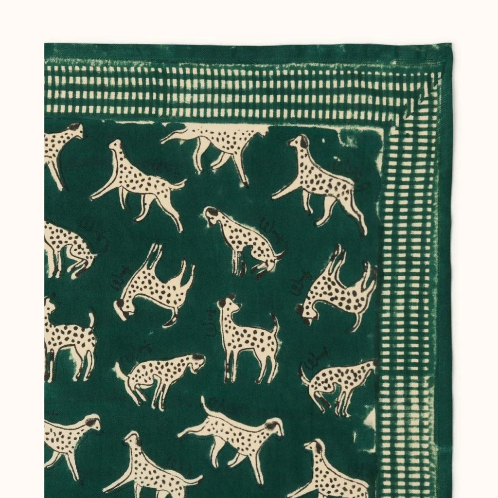 Grand Foulard Apaches Latika - Pongo - Garden