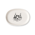 Dish - KITTY