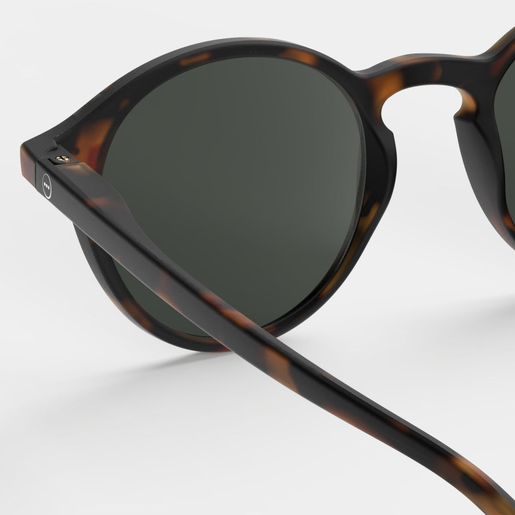 #D Sun Tortoise