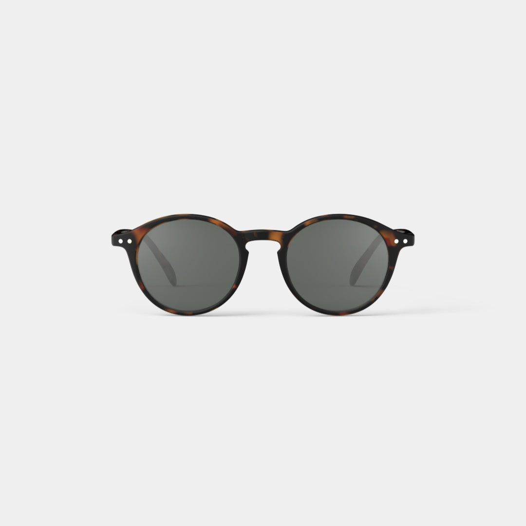 #D Sun Tortoise