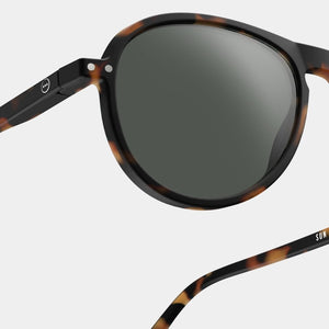 #I Sun Tortoise
