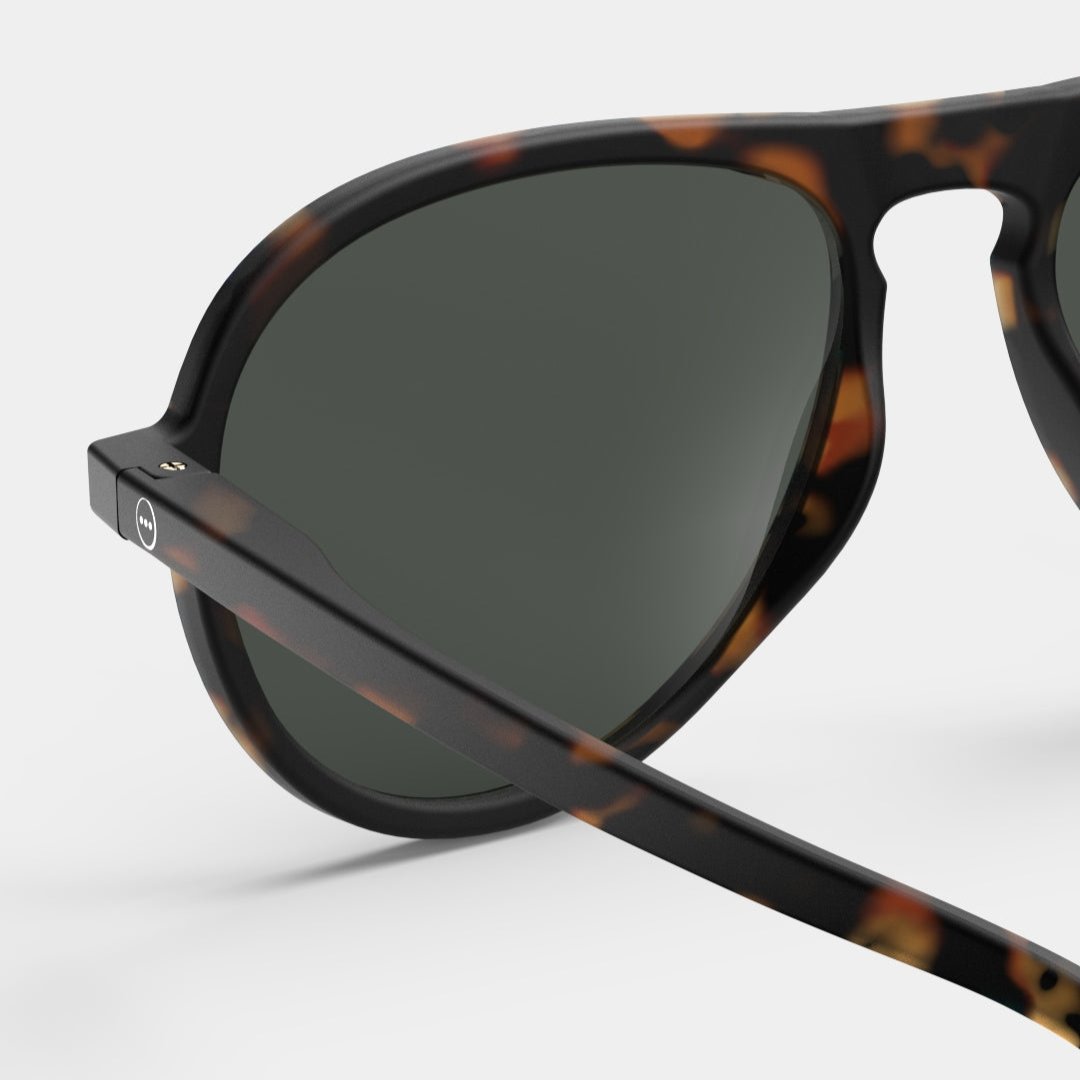 #I Sun Tortoise