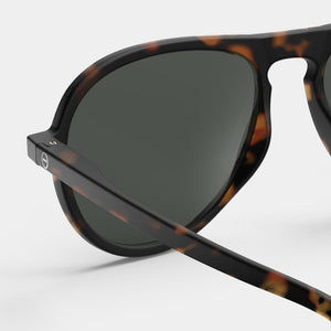 #I Sun Tortoise