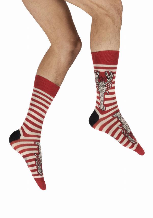 Chaussettes coton Marinière Rouge/Ivoire Homard