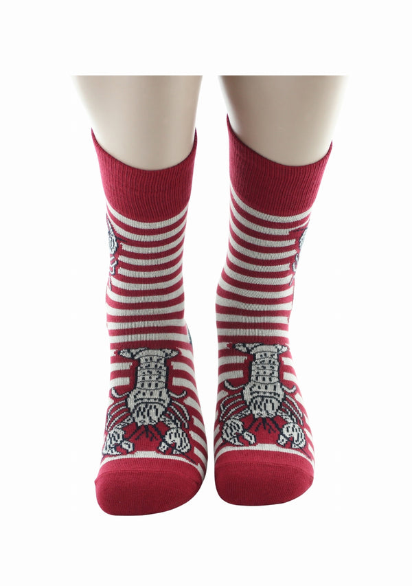 Chaussettes coton Marinière Rouge/Ivoire Homard