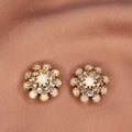 Clips Romy cristal