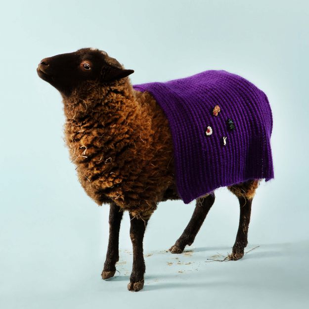 Broche - Ecureuil Panache