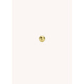 Boule fermoir de Piercing