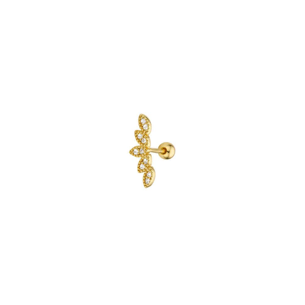 Piercing Five Leafs