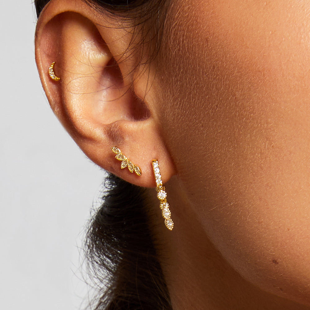 Piercing Five Leafs