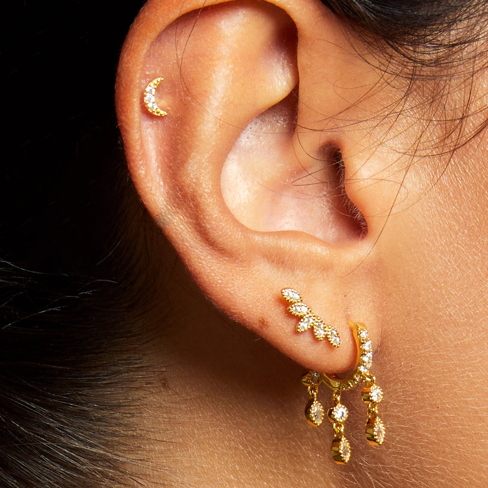 Piercing Five Leafs