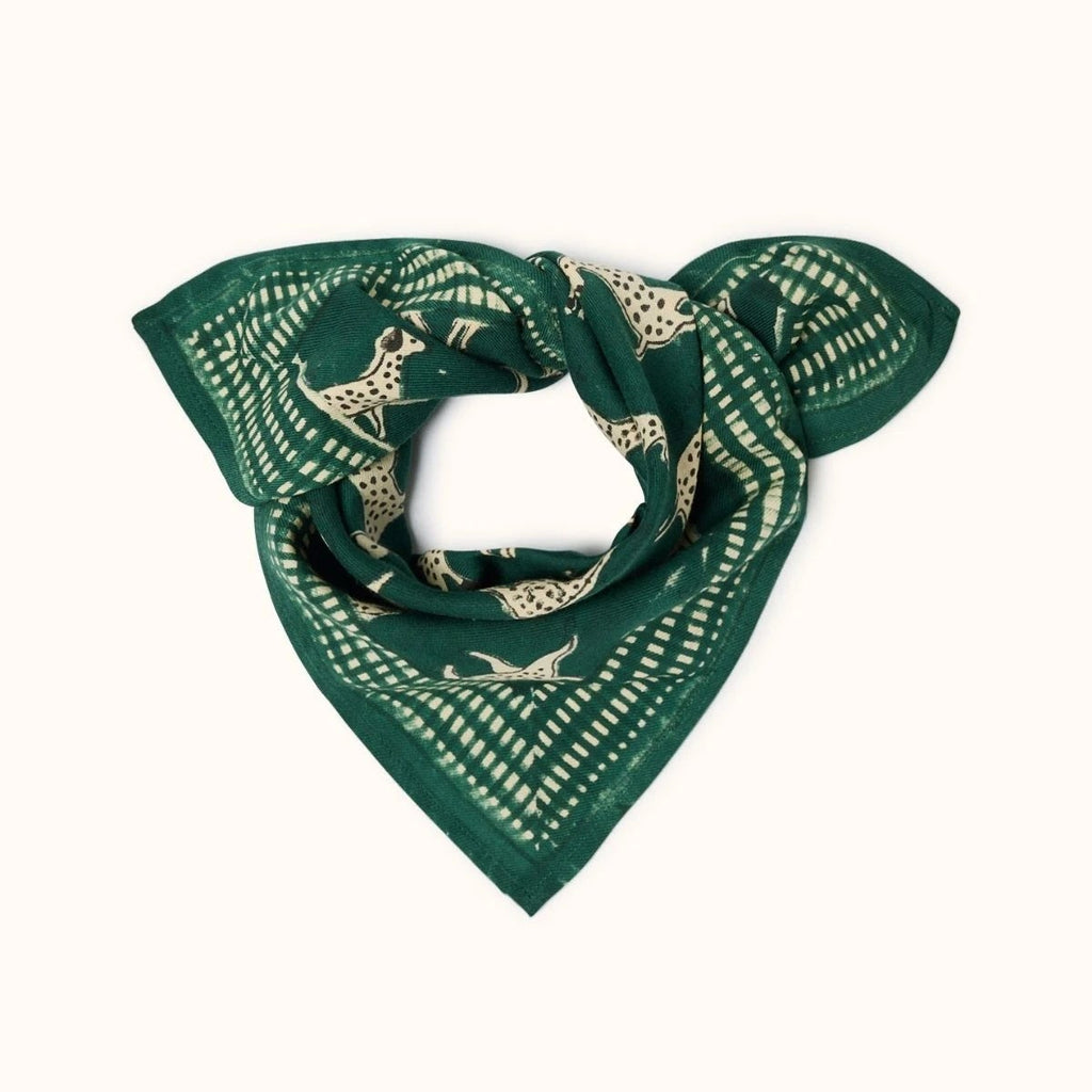 Petit Foulard Apaches Manika - Pongo Garden