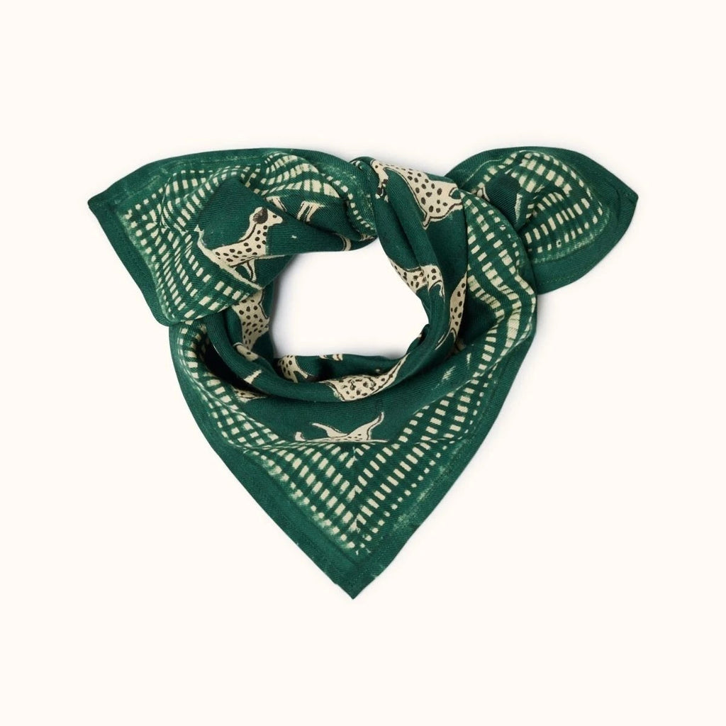 Petit Foulard Apaches Manika - Pongo Garden